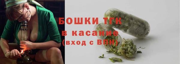 прущие крисы Покачи