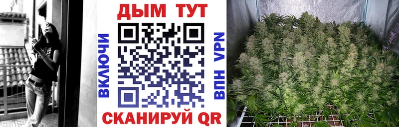 Купить закладки  Южа  Бошки марихуана марихуана 